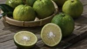 花粉症対策に注目の「じゃばら」って？皮に期待の成分「ナリルチン」がたっぷり！野菜ソムリエおすすめの食べ方