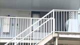 「母親の交際相手に殴られ2歳男児死亡　逮捕の36歳男「寝たふりしたので腹が立った」　男児の弟2人にもアザ　横浜市」の画像1