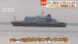 「クルーズ船で感染疑いの乗客は「ハンタウイルス肺症候群」か　専門家「致死率は30～50％」「ヒトヒト感染は極めてまれ」」の画像1
