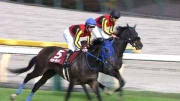 【フローラS・G2＆マイラーズC・G2】ラフターラインズが重賞初制覇！京都ではG1馬アドマイヤズームが復活の勝利！