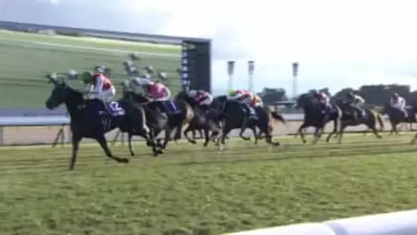 【阪神ジュベナイルフィリーズ】数々の名牝がここから羽ばたいた　ニューヒロイン誕生！来年クラシックへと繋げるのはどの馬か？