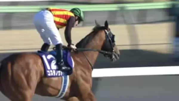 【フェブラリーＳ・GⅠ】今年もやっぱりルメール！2026年最初のGⅠウィナーは “東京ダートの鬼”コスタノヴァ！史上3頭目の連覇達成