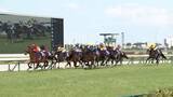 「【G1馬3頭が集結！大阪杯・G1】2世代ダービー馬が激突…現役最強馬の頂上決戦！今週注目の「隠れた穴馬」は？」の画像1