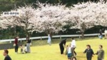 千葉・茂原市で25.9度　4月最初の日曜日は初夏の陽気に　各地で春のイベント