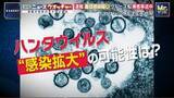 「ハンタウイルス集団感染疑いのクルーズ船がテネリフェ島に到着　乗客は隔離対応も住民には不安」の画像1