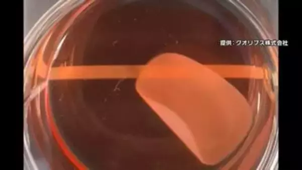 iPS細胞使った心筋シート「リハート」9月1日から保険適用へ　重度の心不全治療に使用