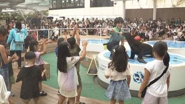夏休みラスト　新定番は「安・近・涼」　アシカと“ふれあい”イベントは延長決定　夏でも雪遊び可能な施設も