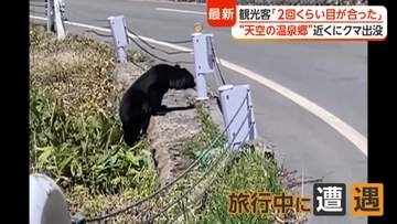 「恐怖感じた」“天空の温泉郷”で子グマ目撃　各地で出没相次ぎ警戒高まる　住職「お供え物は持ち帰って」