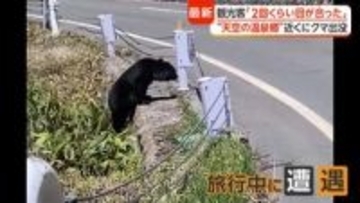 「恐怖感じた」“天空の温泉郷”で子グマ目撃　各地で出没相次ぎ警戒高まる　住職「お供え物は持ち帰って」