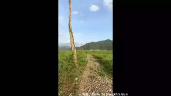 ダムの水位低下し水没していた第二次世界大戦中の「死の鉄道」駅跡が姿現す　映画「戦場にかける橋」の舞台　タイ