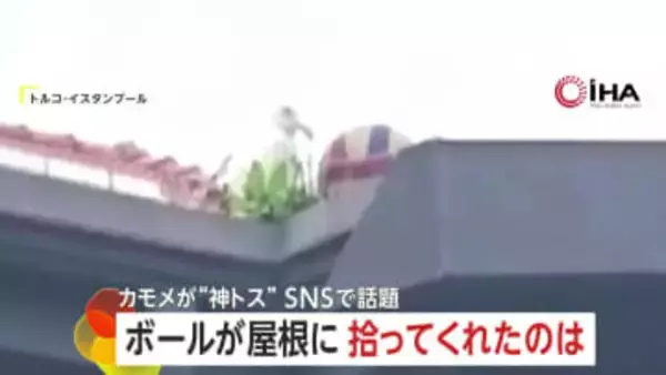 “奇跡のトス”がSNSで話題に「ありがとう！」屋根の上へ飛んだボールを“カモメ”が手助けし生徒たち大歓声　トルコ