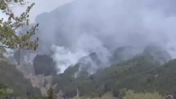 岩手・大槌町の山林火災　4日経つも火の勢い衰えず、3000人超に避難指示　東京や栃木の消防も応援に