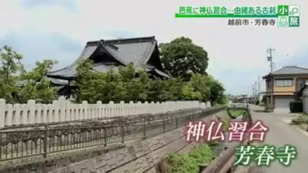 神と仏が共存する越前の古刹・河濯山芳春寺　戦火を乗り越え刻む神仏習合の歩み　境内には松尾芭蕉の色紙塚
