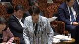「【中継】「国会への出席はお嫌ですか」集中審議で蓮舫氏が高市総理に国会対応など追及　副首都法案成立に向け会期延長へ」の画像1