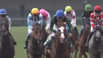 【函館2歳S】横山和生騎手の9番人気フェリチタが差し切り、世代最初の重賞を制す　タワーオブロンドン産駒
