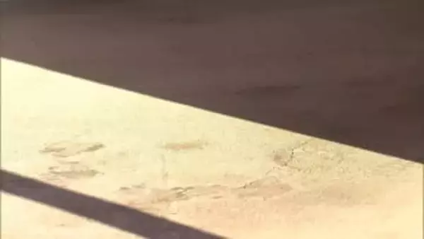 玄関の中と外に血だまり踏んだ多くの靴跡　ネイリスト女性殺害　犯人のものが含まれる可能性もあり捜査　茨城・水戸市