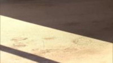 玄関の中と外に血だまり踏んだ多くの靴跡　ネイリスト女性殺害　犯人のものが含まれる可能性もあり捜査　茨城・水戸市