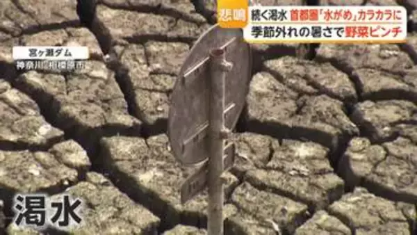 「過去最低レベル」首都圏最大ダムが渇水で“観光放流”見送り、湖底の道路むき出し　原油高騰で野菜もピンチ…農業資材が品薄・高騰