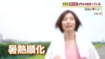 春から始めよう暑熱順化　“夏本番”を前に20分～30分の軽い運動で汗をかく練習を　10日程の継続で効果が