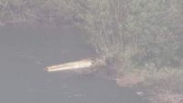 新潟・阿賀野川で巡視中の小型船転覆　2人救助も63歳男性が川に流され死亡　船は橋脚に衝突して転覆か