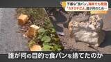 「相次ぐ“食パン不法投棄”　新たに海岸で発見　国立公園「大山」近くの県道では４日で39キロ回収　野生動物が誘い出される恐れも　鳥取」の画像1