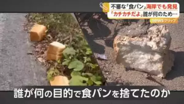 相次ぐ“食パン不法投棄”　新たに海岸で発見　国立公園「大山」近くの県道では４日で39キロ回収　野生動物が誘い出される恐れも　鳥取