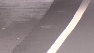 関越道2人死亡事故　逮捕のイラン国籍の男「話すことはありません」認否を留保　工事現場に車突っ込む