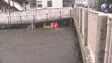 「【中継】東京・善福寺川にレベル4氾濫危険警報　危険水位まで1メートルを切る　「垂直避難」を」の画像1