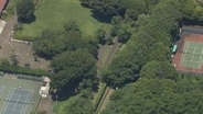 小中高生ら15人がハチに刺されて病院搬送　街路樹から複数のハチが飛び出し巣を回収中　アシナガバチか　茨城・つくば市