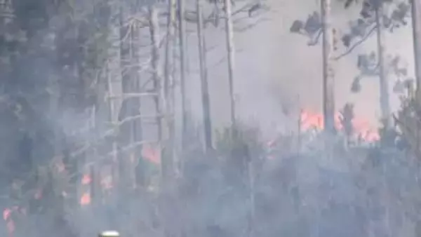 平成以降“国内最大規模”の山林火災から1年　今も26世帯が仮設住宅で生活　岩手・大船渡市