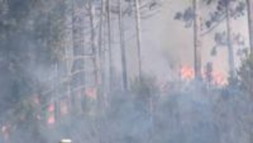 平成以降“国内最大規模”の山林火災から1年　今も26世帯が仮設住宅で生活　岩手・大船渡市