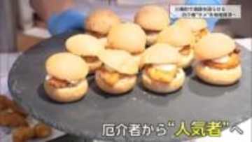 「料理人が頑張れば漁師さんも頑張れるかな」厄介者のサメを人気者に　熱意の取り組みで漁業被害食い止め地域資源へ