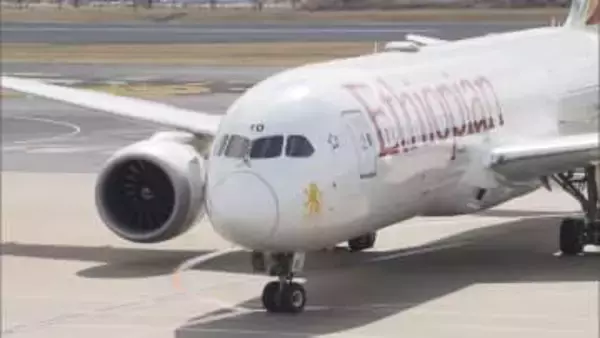 政府チャーター機の第3陣 日本人ら帰国　中東から退避 韓国籍などの搭乗者も