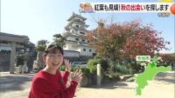 「亥の子の日は楽しすぎてやばい」　今治で復活した伝統行事と新鮮海鮮の魅力　シリーズ＃媛さんぽ【愛媛発】