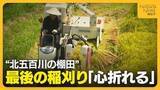 「「心折れた」コメ作り断念の理由は“イノシシ”…絶景“北五百川の棚田”で最後の稲刈り　400年の歴史に幕下ろす　新潟・三条市」の画像1
