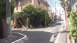 「世田谷で警察官が拳銃1発を発砲　軽トラをパトカーに衝突させた疑いで20歳男を逮捕　けが人なし」の画像1