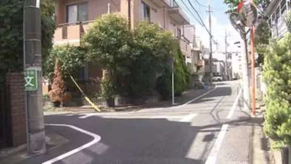 世田谷で警察官が拳銃1発を発砲　軽トラをパトカーに衝突させた疑いで20歳男を逮捕　けが人なし