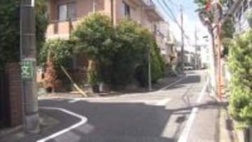 世田谷で警察官が拳銃1発を発砲　軽トラをパトカーに衝突させた疑いで20歳男を逮捕　けが人なし