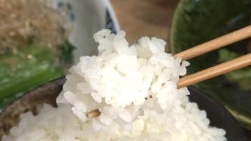 ついに「1000円台」新米求め長い行列　定食店“おかわり無料”復活で客足戻る　コンビニおにぎりもお得に