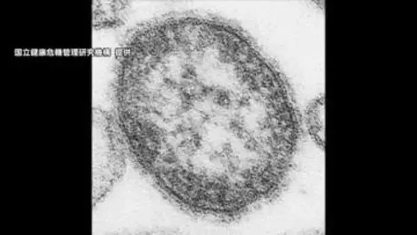「はしか」感染拡大　東京・新宿区の小学校で学年閉鎖に　2026年の都内感染者は180人で過去10年で最多に