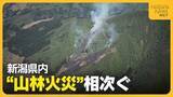 「【山林火災】「戻ってきたら炎上していた…」ゴミを燃やして買い物へ　新潟・魚沼市でスキー場跡地が約35ha焼失　新潟県で”山林火災”相次ぐ」の画像1