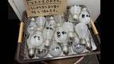 「無人精米所で謎の“電球無料配布”　相次ぐ迷惑行為を“逆手”に対策　湿ったくず米を投入される迷惑行為も　茨城」の画像1