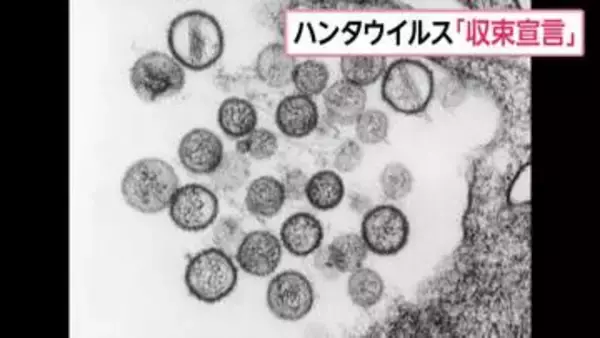 ハンタウイルス、WHOが「収束宣言」　“最後の接触者”が隔離期間終え帰宅　5月下旬以降、新たな症例も確認されず