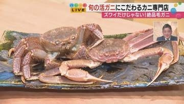 生きたまま目の前でさばく！金沢・にし茶屋街「かにじぇんぬ」の能登毛ガニが別格すぎた