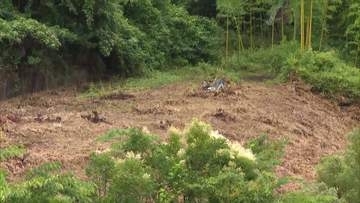 宮城・仙台市でクマ1頭を捕獲し駆除　箱わなにかかる　23日に確認された“木登りクマ”か　市内で目撃相次ぐ