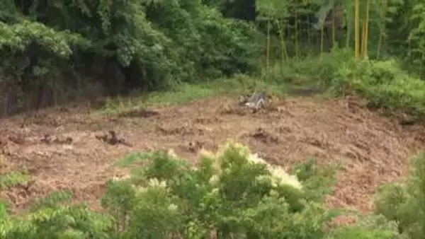 宮城・仙台市でクマ1頭を捕獲し駆除　箱わなにかかる　23日に確認された“木登りクマ”か　市内で目撃相次ぐ