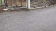 「お金が欲しかった」14歳女子中学生を逮捕　60代女性の顔にスプレーかけ財布奪ったか　埼玉・春日部市