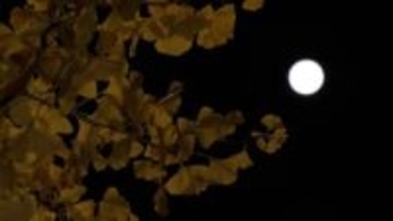 今年最後の満月は「スーパームーン」…「月と木星の共演」や「ふたご座流星群」など12月は天体ショー満喫月間