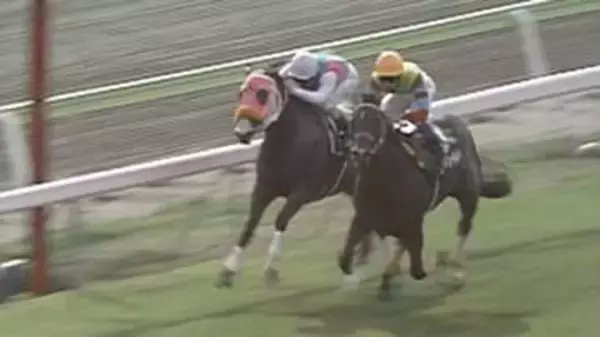 【函館3歳ステークス】1997年アグネスワールドがレコードタイムでデビュー2連勝　武豊はこのレースでJRA全10場重賞制覇を達成