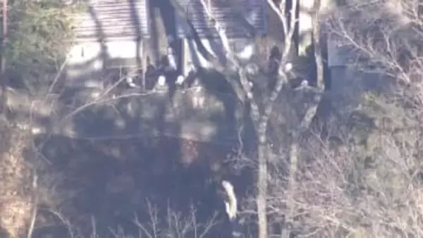 多摩動物公園で脱走していたオオカミ1頭を捕獲、28日は臨時休園に